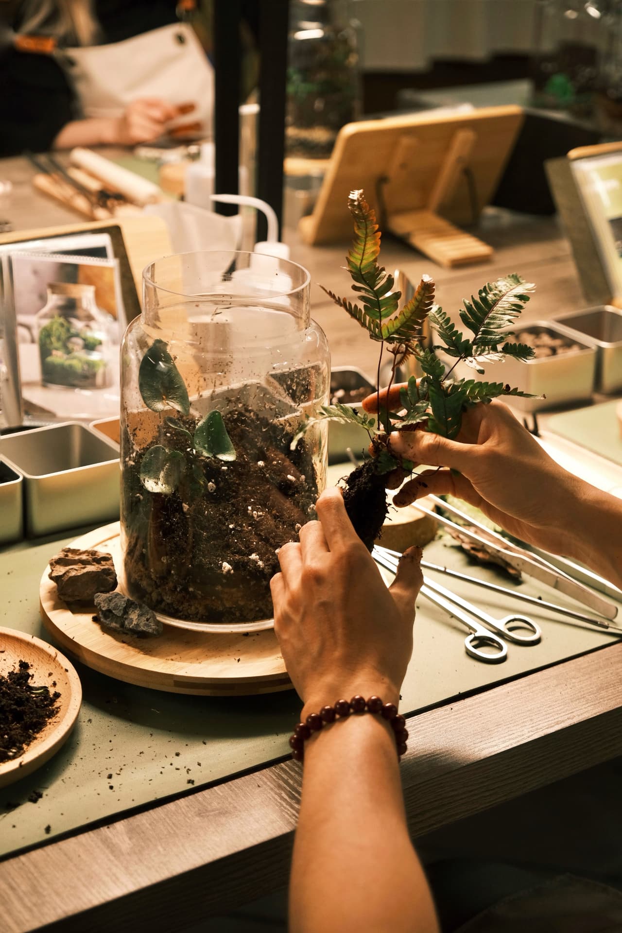 A collection of glass terrariums